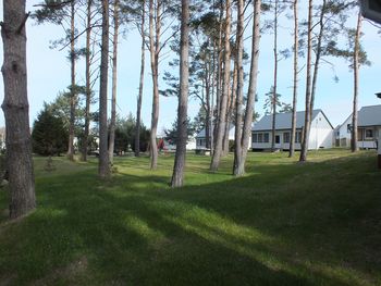 Urlaub mit 4 Pfoten: 4 Tage buddeln an der Boddenküste