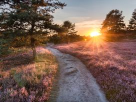Kennlernangebot in der Lüneburger Heide