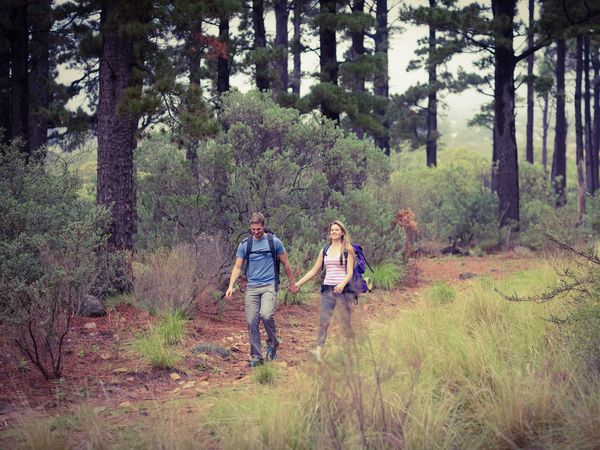 Einfach mal raus in den Westerwald in Hadamar Halbpension