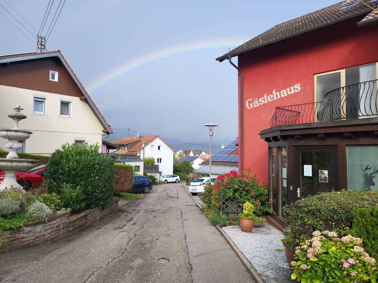 5 Tage Familienzeit mit Ihrem Haustier im Schwarzwald