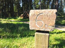 5 Tage Aktiv- und Familienauszeit in der Winterberger Bergwelt mit Halbpension