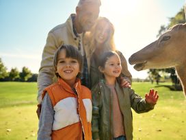 7 Tage Arnheim erleben