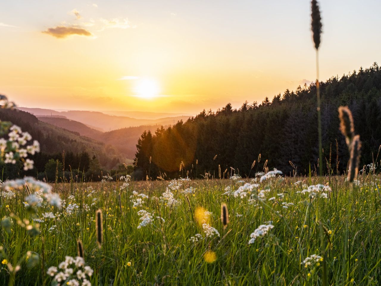 4 Tage Auszeit mit Dinner im schönen Wellness-Hotel