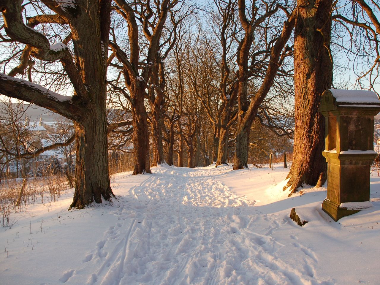 Weihnachten 2025 im Teutoburger Wald (23.-27.12.2025)