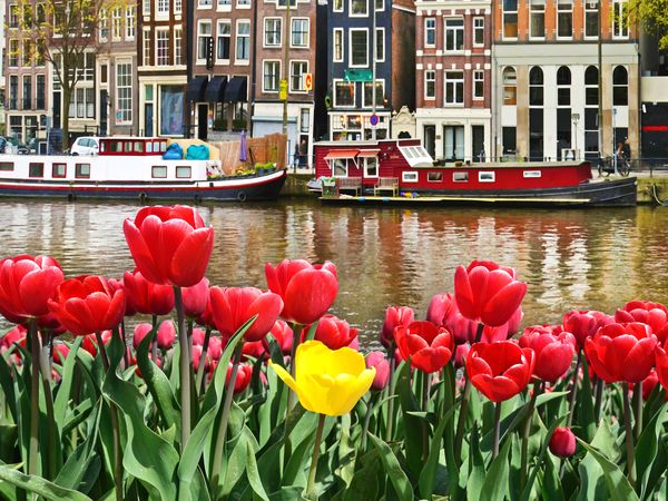 Amsterdam in Style: 4 Tage Kultur und Entspannung, Nordholland (Noord-Holland) inkl. Halbpension