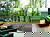 3 Tage Waldhotel in Brabant – Ruhe & Natur erleben