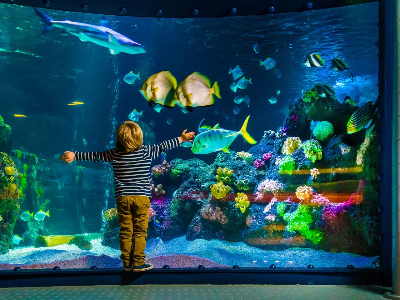 Familienspaß mit SEA LIFE & LEGOLAND Discovery Centre