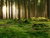 3 Tage Kleine Harz – Auszeit inkl. HP Plus