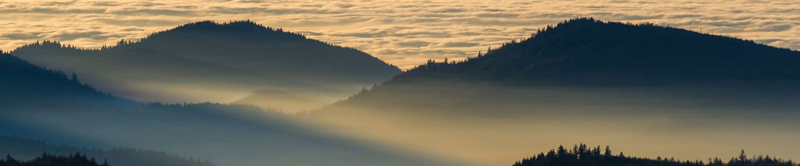 Schwarzwald