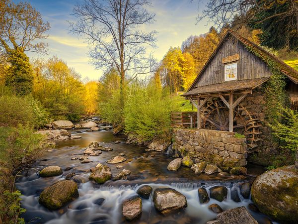 Kurz Mal weg – Auszeit im Schwarzwald in Lauterbach (Schwarzwald) Halbpension