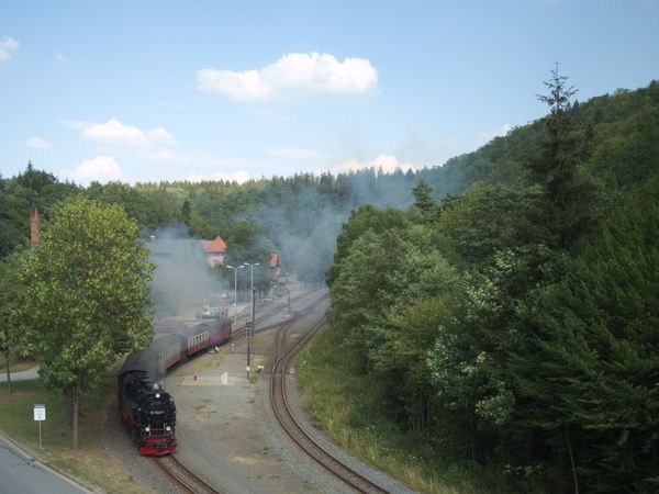 4 Tage Harzer Luft schnuppern in Friedrichsbrunn (Thale), Sachsen-Anhalt inkl. Frühstück