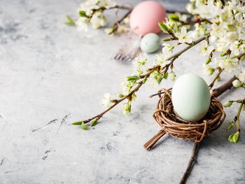 Osterwochenende am Neckarufer!