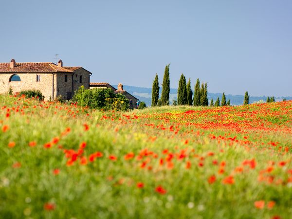 Entspannte 8 Tage im Herzen der Toskana verbringen in Montecatini Terme inkl. Halbpension