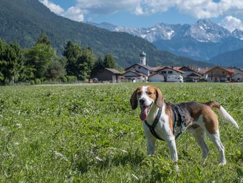 3 Tage Natur pur: Bayerische Alpen mit Dinner
