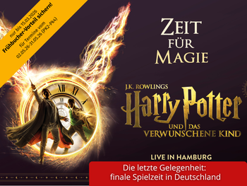 HARRY POTTER magisches Theater mit Hotel