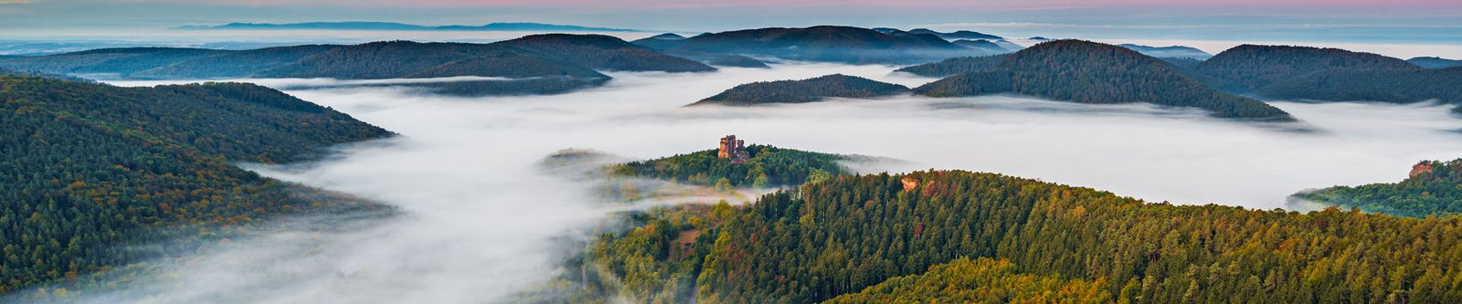 Wunderschöne Pfalz