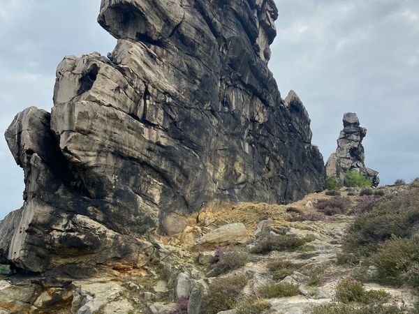 Kurz-mal zur Aktivauszeit / 6 Tage in Thale, Sachsen-Anhalt inkl. Halbpension Plus