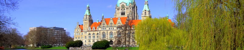 Prunkvolles Rathaus mit grüner Kuppel hinter Trauerweiden in einem Park