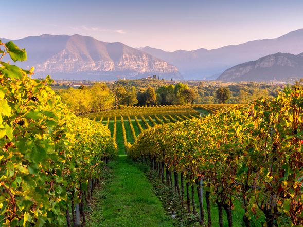Auszeit in der malerischen Franciacorta - 4 Tage
