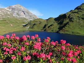 4 Tage E-Bike-Urlaub mit Verwöhnpension & Wellness im Salzburger Land