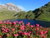 4 Tage E-Bike-Urlaub mit Verwöhnpension & Wellness im Salzburger Land