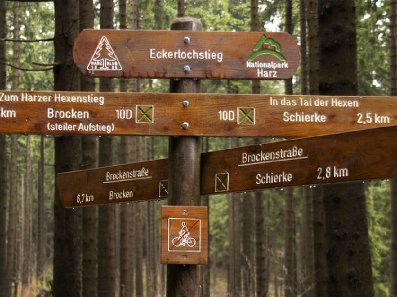 Harz'lich Willkommen - 4 Tage Auszeit im Habichtstein