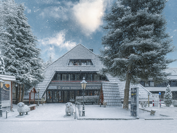 Winter Spezial in der Lüneburger Heide