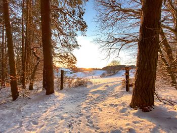 Preiswertes Verwöhnwochenende im Schwarzwald