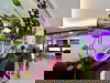 3 Tage Heidelberg komplett