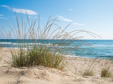 Entspannung an der Ostsee