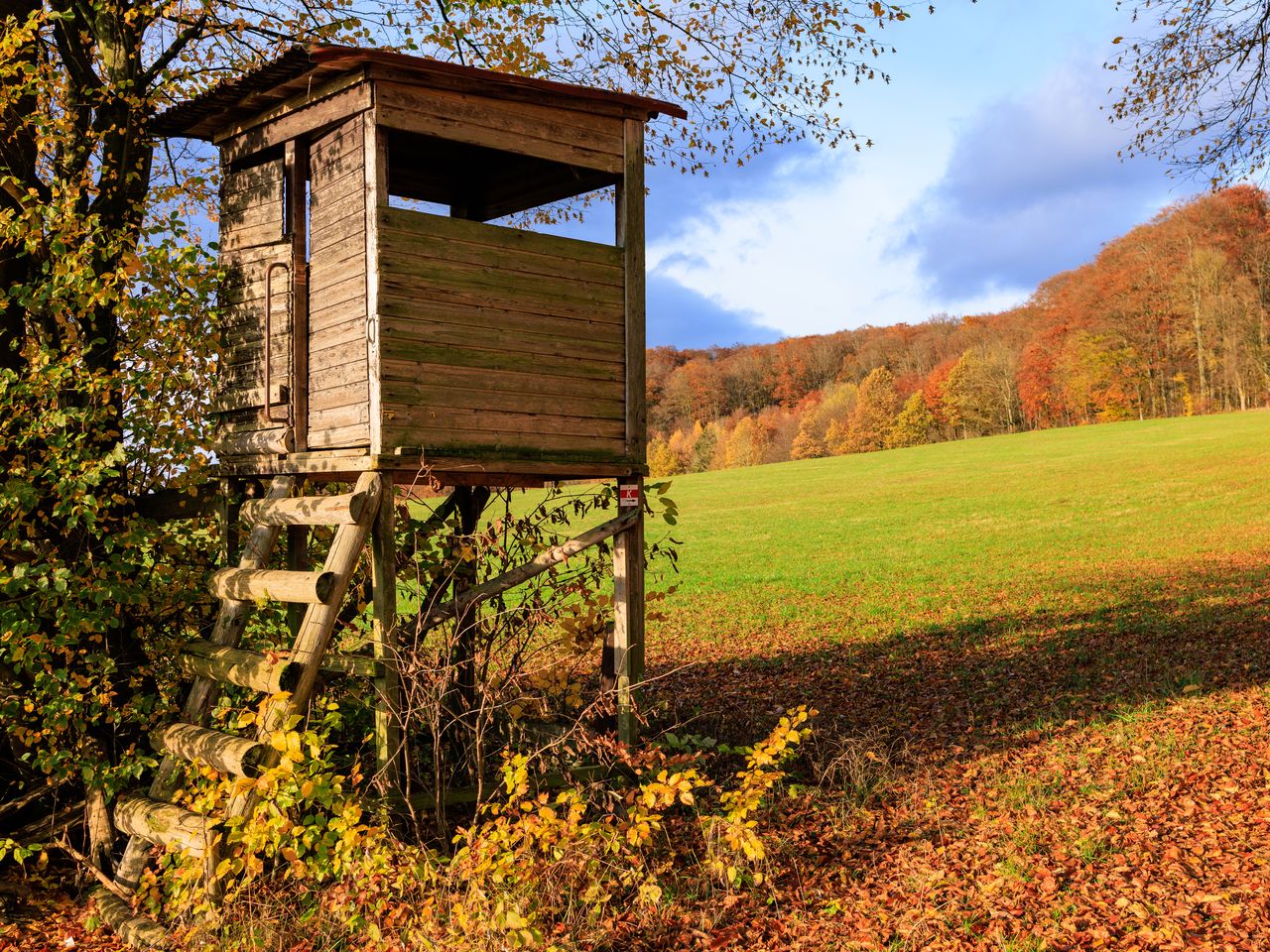 Goethe auf Abwegen - Wanderurlaub im Harz