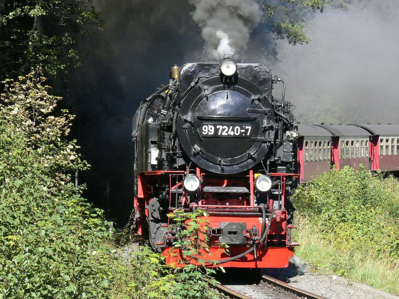 5 Tage Natur pur  inkl. Bahnfahrt auf den Brocken