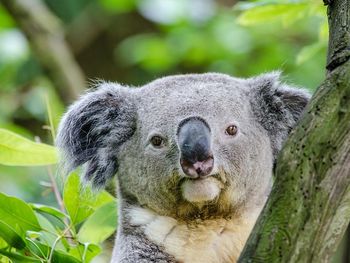 99 Euro-Sommer-Deal - 3 Tage Leipzig mit 1 Abendessen