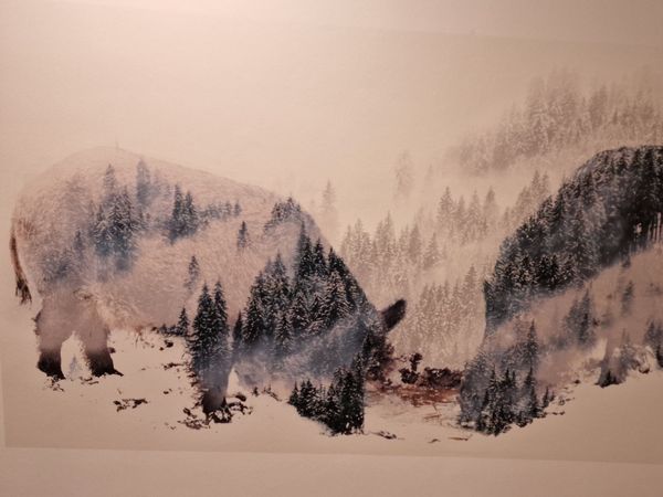 6 Nächte im Siegerland – abschalten und genießen in Netphen-Deuz Halbpension