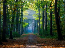 4 Tage Waldgenuss & Ruhe pur im Herzen der Achterhoek