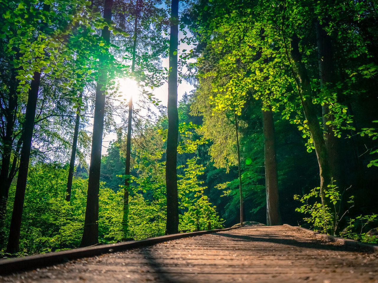 Urlaub mit Hund im Bayerischen Wald