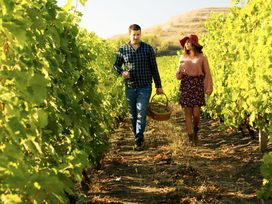 &JULIA - Das Pop-Musical mit Ticket und Hotel