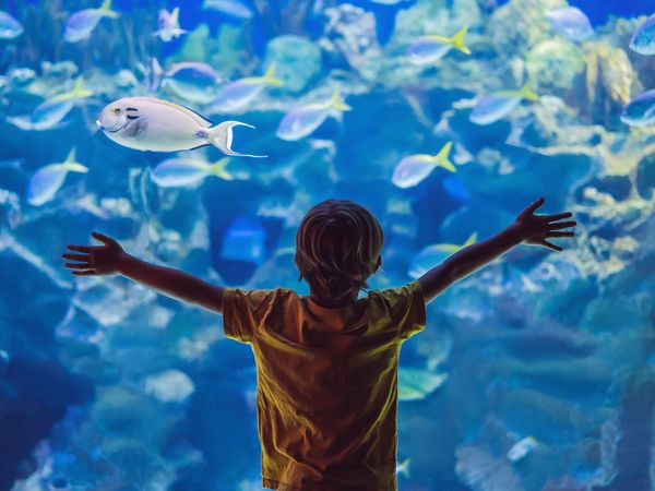 Wildlife Safari – Zoo & Aquazoo Schmiding | 4 Tage in Wels Frühstück