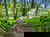 2 Tage Therme & Genuss nahe der Spreewald-Therme