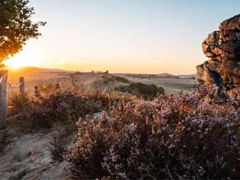 Jahresausklang im Harz / 6 Tage