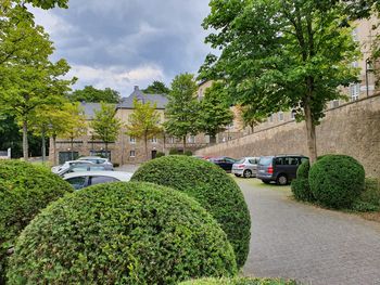 Bild 11 von 17