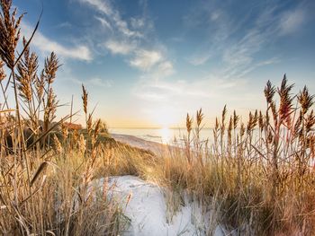 Den Friesen auf der Spur - 6 Tage Nordsee mit Sylt