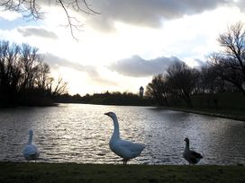6 Tage auf der südlichsten Insel Süd-Hollands