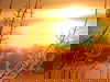 All Inklusive: 5 Tage Winter-Wellness-Urlaub am See