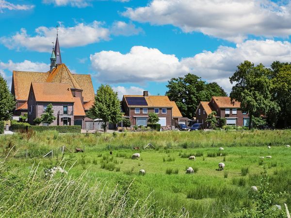6 Tage im nordholländischen Künstlerdorf Bergen inkl. Halbpension