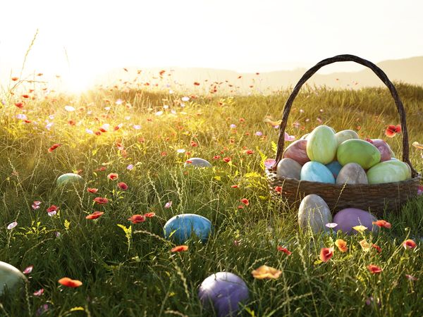 OSTERN ALL INKLUSIVE im Erzgebirge in Eppendorf All Inclusive