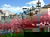 2 Tage im Mercure Hotel Koeln City Friesenstrasse