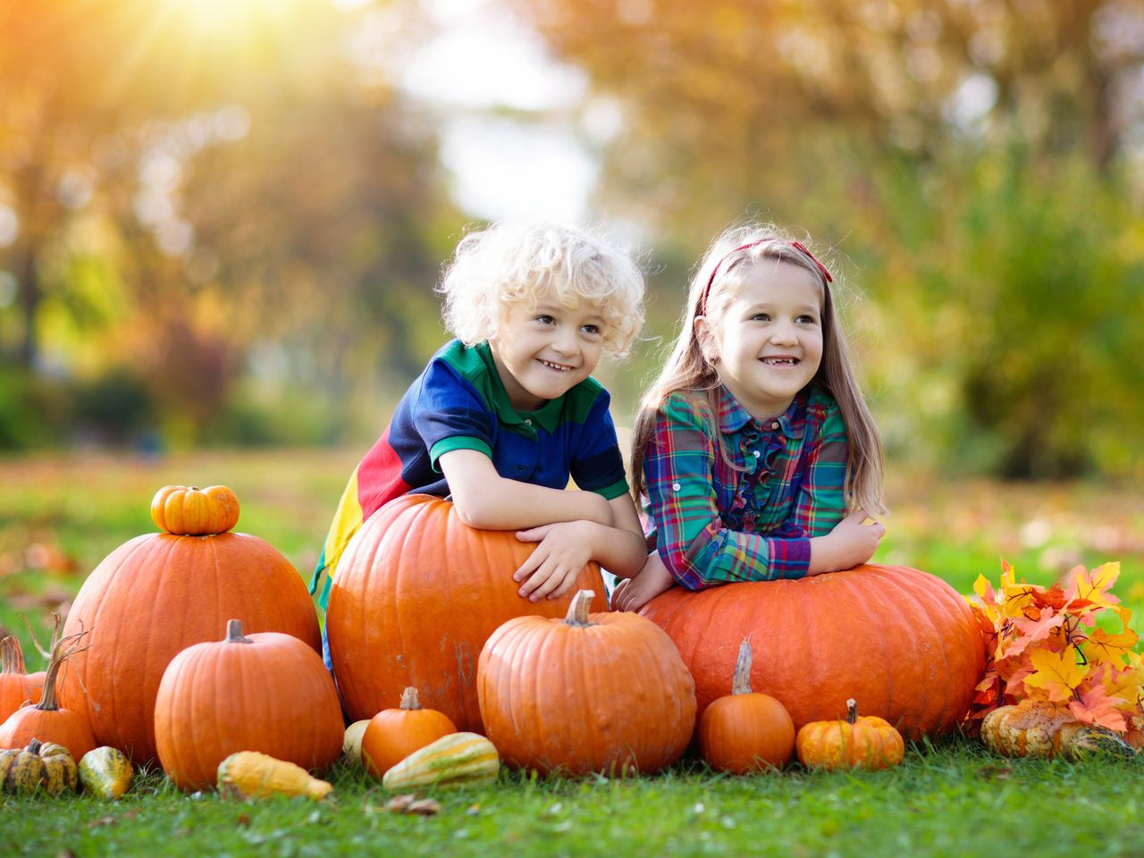 Happy Halloween mit Kürbis und Kastanie