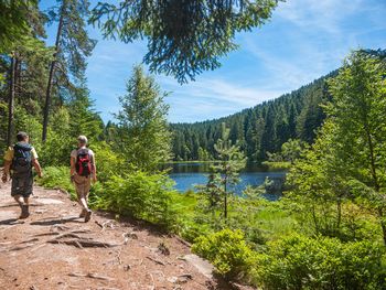 5 Tage Nordschwarzwald auf 4 Pfoten