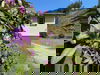 Waldbaden in Thüringen: Feriendorf Idylle & Fasssauna